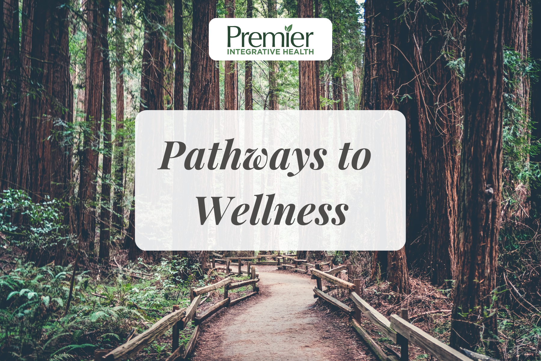 Wellness Path Natural Pathways To Wellness